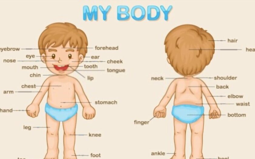 Teaching Kids About Their Bodies